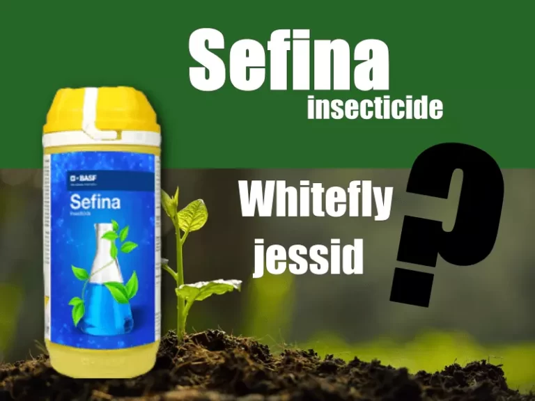sefina insecticide