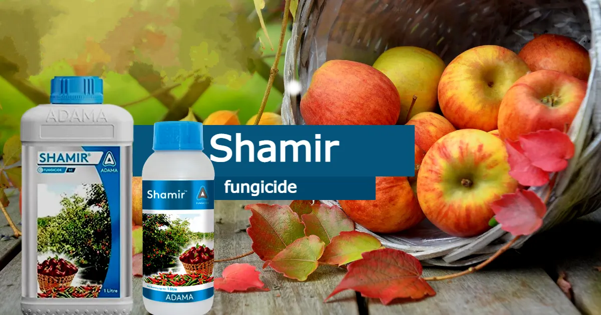 shamir fungicide