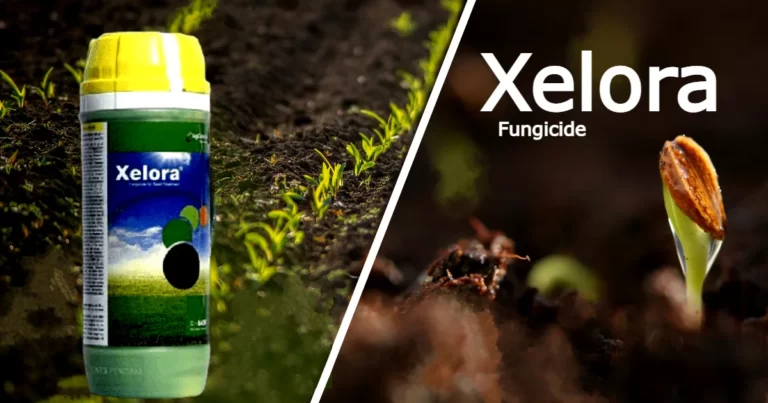 Pyraclostrobin fungicide xelora fungicide uses
