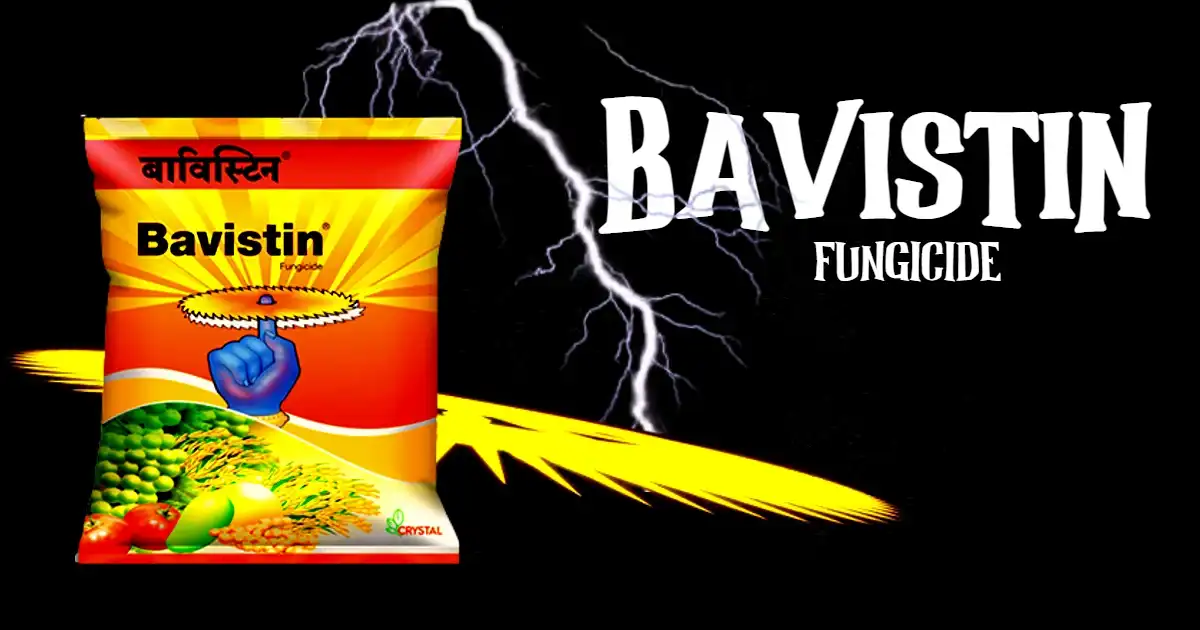 Bavistin fungicide Carbendazim 50 wp