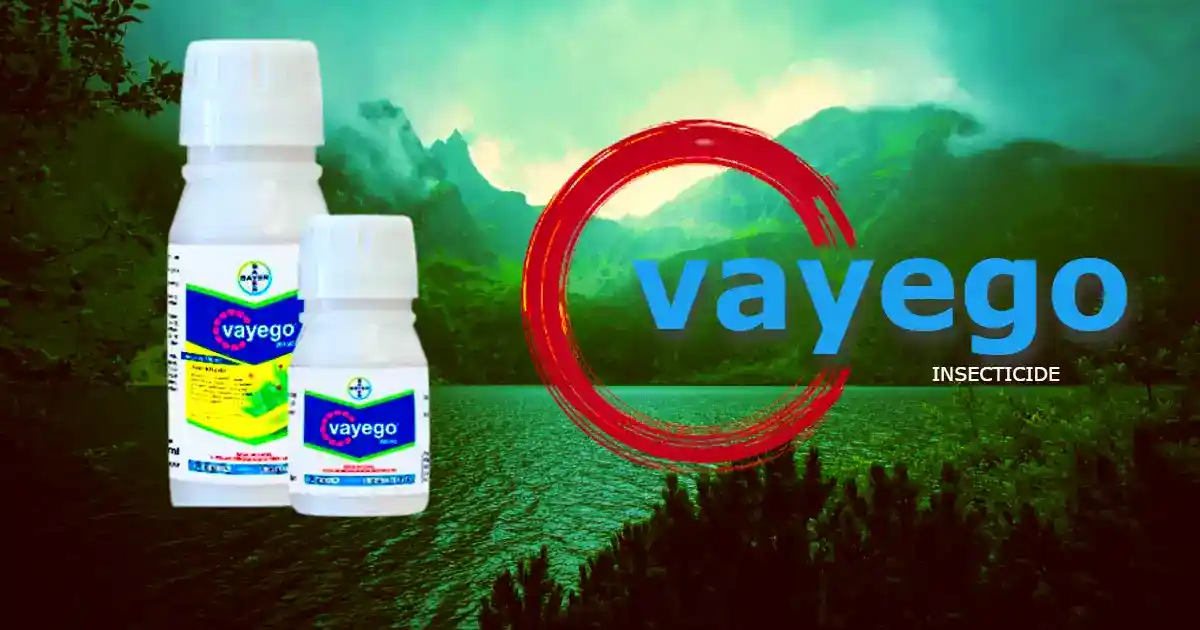 Vayego bayer insecticide