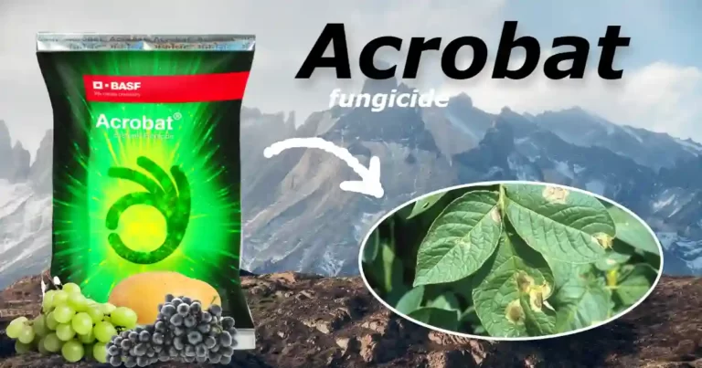 Acrobat fungicide