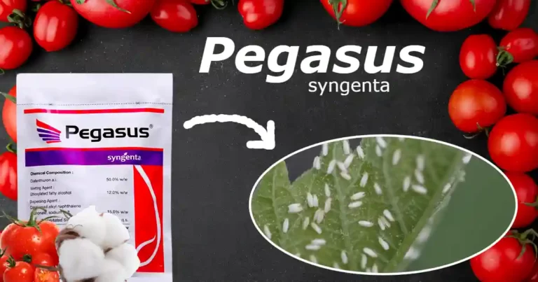 pegasus insecticide