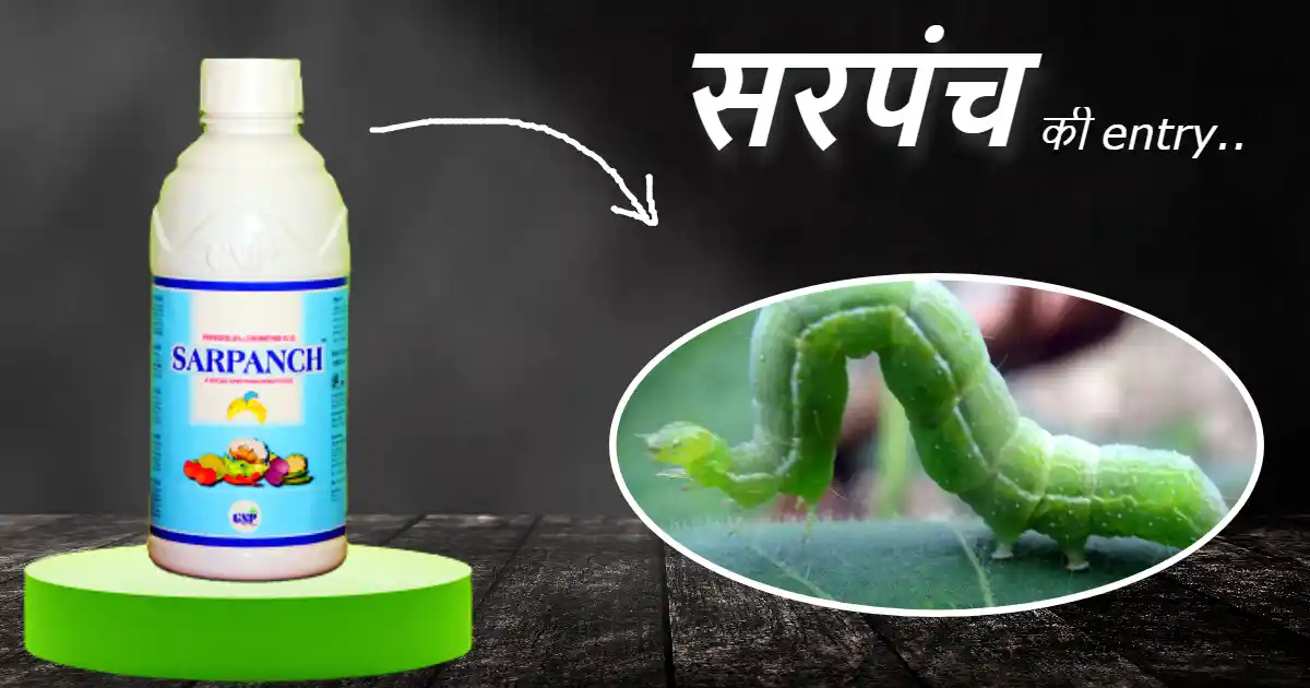 Sarpanch insecticide