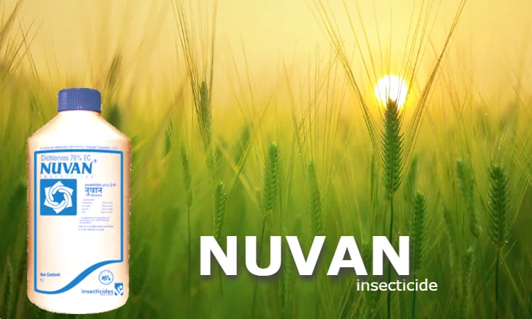 nuvan insecticide