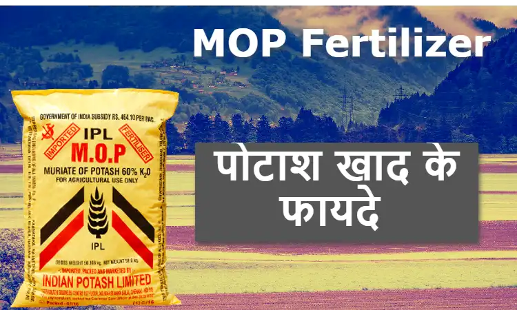 mop fertilizer
