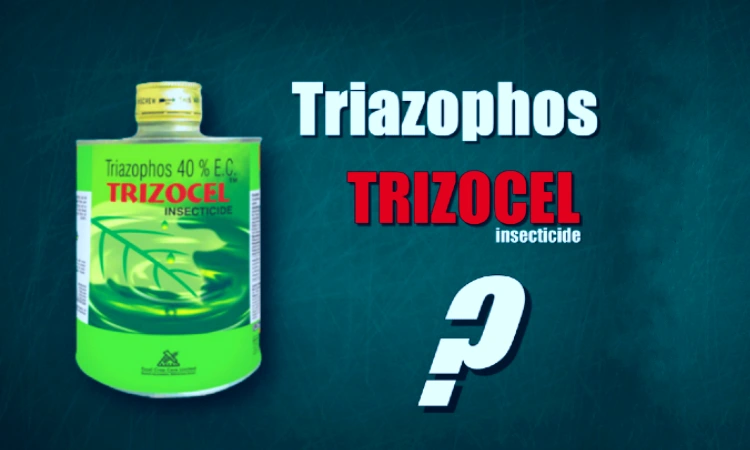 triazophos 40 ec insecticide
