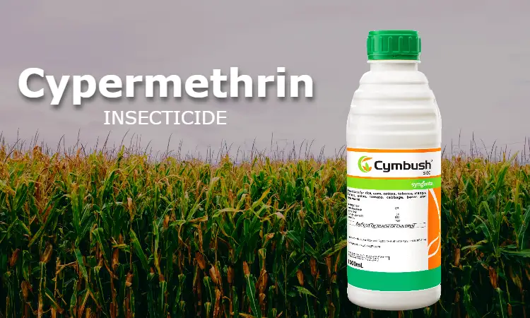 cypermethrin spray insecticide