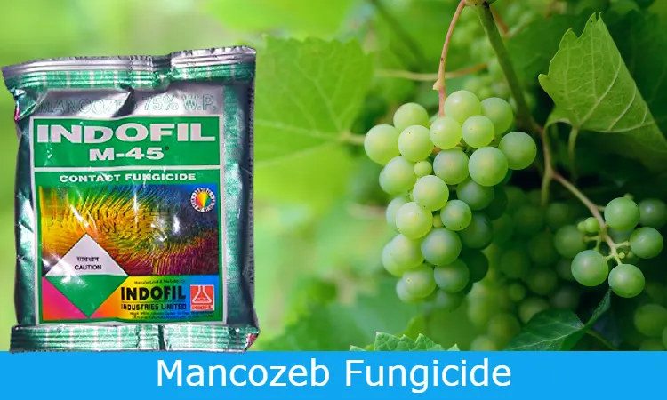 mancozeb fungicide