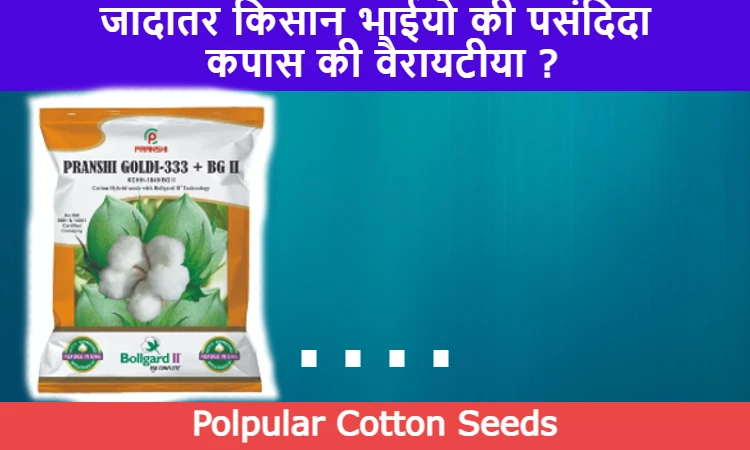 cotton seed varieties