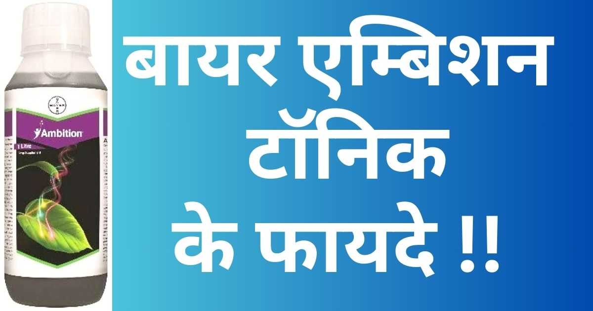 Ambition tonic bayer uses in hindi